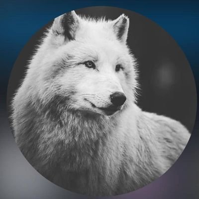 yvonnenice19's profile picture. 