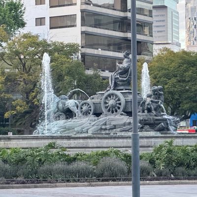 alex_mellado's profile picture. 