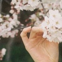 💙 (@blueliizz) 's Twitter Profile