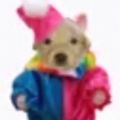 moonytheboony's profile picture. 21!
t4t
Wawa :3
it/pup
minors DNI