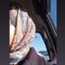 R (@rabiaca10) Twitter profile photo R (@rabiaca10) Twitter profile photo