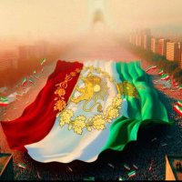 Soroush (@soroush485062) 's Twitter Profile