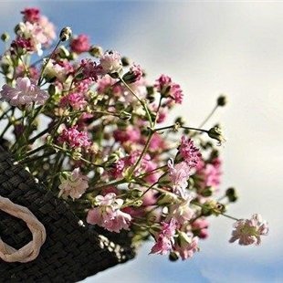 hiroko142928241's profile picture. 副業で安定した収入を得る方法を紹介中。副業を始めてみたい人に有益な情報を提供。小規模ですが現金給付企画もしております★ フォロワーさん優先➡ https://t.co/HZaegHN70R