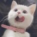 𝒂 🔞 (@nmipm) Twitter profile photo 𝒂 🔞 (@nmipm) Twitter profile photo