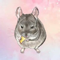 つくね (@tukune_0116) 's Twitter Profile