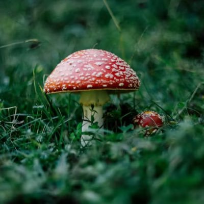 mamamam040's profile picture. 