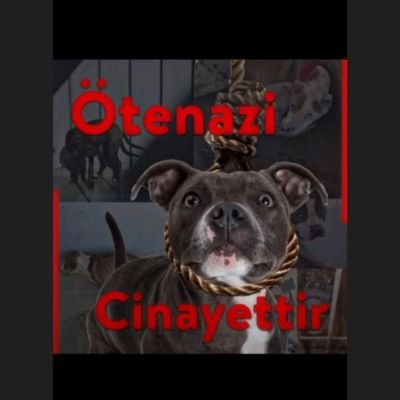 Kubra Oktay Hukuk Bürosu | Kubra Oktay Law&Consulting | Yoketmeyi değil Yaşamı savun! #yasamhakkınadokunma #vegetarian☘️ #yasaklıırklaraözgürlük