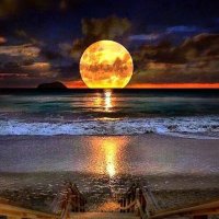 محقق خاص (@1mts0ei8tsvjxbq) 's Twitter Profile