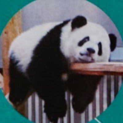 arHd4AfGMV18946's profile picture. 