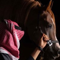 الشامخ (@222kkk444) 's Twitter Profile Photo