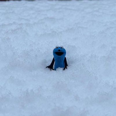 46l23's profile picture. 07 │ 神戸グロ文 │ 日政経.化生 │ 東進