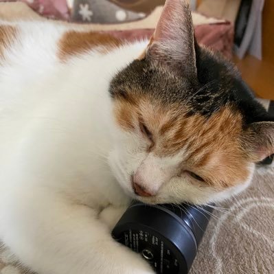 msGQAHTUiX96728's profile picture. 