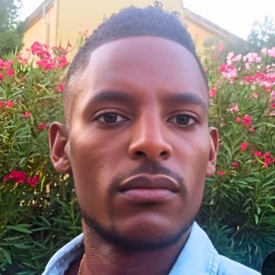 angelstreetv2's profile picture. French engineer 
#python #automation #telecom