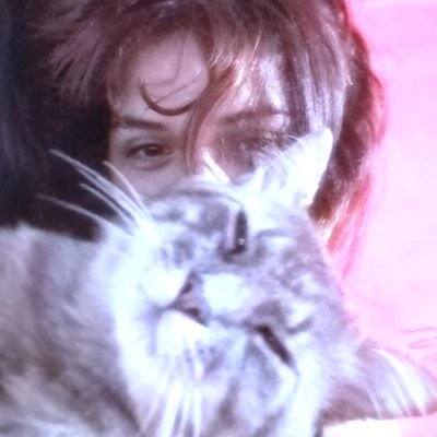 𝕿𝖍𝖊𝕭𝖆𝖇𝖞◦❁◦∘ ═さんのプロフィール画像
