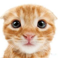 meli... (@porrodepedos) 's Twitter Profile Photo meli... (@porrodepedos) 's Twitter Profile Photo
