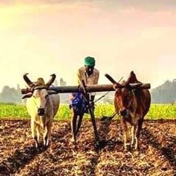 Vikash_Meena_07's profile picture. student