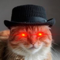 Ahatwearincat (@ahatwearincat) 's Twitter Profile Photo Ahatwearincat (@ahatwearincat) 's Twitter Profile Photo