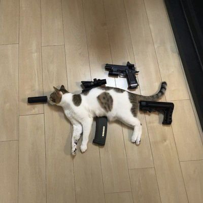 ioqolopoi's profile picture. خاورمیانه را آفرید
از روی چشم های شرقی ات؛ 
پر آشوب، رنجور، خسته ، زیبا...
..............«یاعلی💚»..............