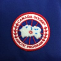 金田くん (@canadakun3) Twitter profile photo