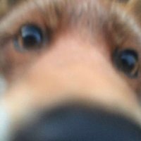 딸기떡이 (@wxycyn) 's Twitter Profile Photo 딸기떡이 (@wxycyn) 's Twitter Profile Photo