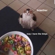 dauncutrappa69's profile picture. I block stupid people