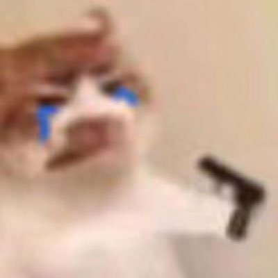 morritx básica que usa Twitter para llorar o tirar indirectas || ♑️ Capricornio
