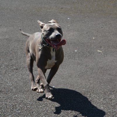 gilman0941698's profile picture. 