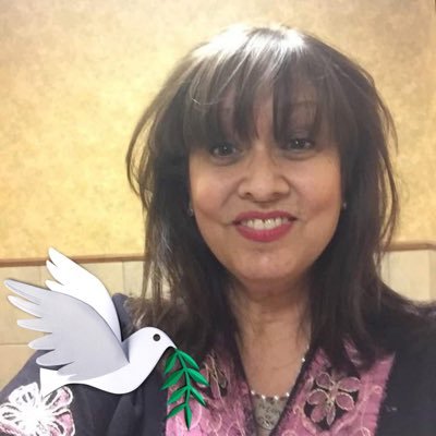 Teacher, humanitarian, lover of books, film, theater, writing, swimming, cooking, animals, and my family.🦋