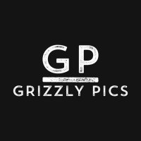 GrizzlyPics (@grizzly_pics) 's Twitter Profile
