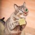 Saltine (@theonesaltine) Twitter profile photo Saltine (@theonesaltine) Twitter profile photo
