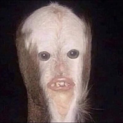 KatPizz's profile picture. Veteran, Mom, Wife, Dog Mom