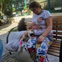 Seda Adar (@seda_adar18468) 's Twitter Profile Photo Seda Adar (@seda_adar18468) 's Twitter Profile Photo
