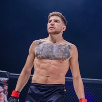 AxelAlfandari 🐻 (@axelalfandari) 's Twitter Profile