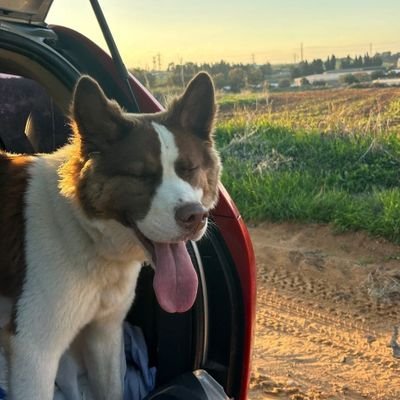 browniemers Profile