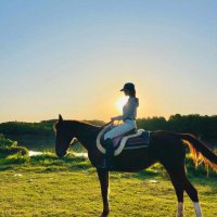 音楽の騎士 🎶🏇 (@twingegnvb) 's Twitter Profile
