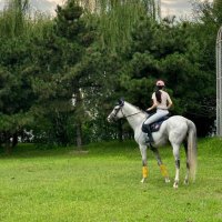 馬に乗る小さな天使 😇🐴 (@lovableiokl) 's Twitter Profile