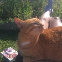 VPablito (@hopefulpablito) 's Twitter Profile