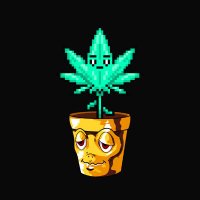 Memepotz 🪴 (@0xmemepotz) 's Twitter Profile Photo Memepotz 🪴 (@0xmemepotz) 's Twitter Profile Photo