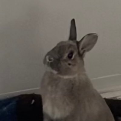 Maxwell6430's profile picture. 