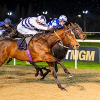 Connors Winners (@connorswinners) 's Twitter Profile Photo