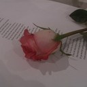 sonia côté - @cotsonia - Twitter