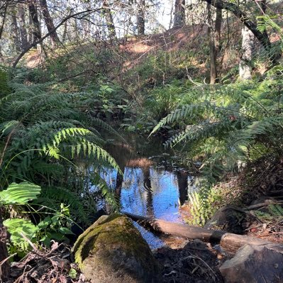 obeastlily's profile picture. morbidly a beast. I love HM and SouthPark