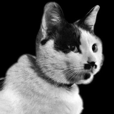 RomXfg's profile picture. 