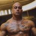 Apollo Pitbull (@apolloator) Twitter profile photo Apollo Pitbull (@apolloator) Twitter profile photo