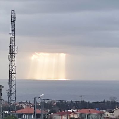 Avukat,
Arabulucu
Işık her zaman vardır. Sen ışığın kendisisin. Sadece zihnin onu görmeye engeldir.