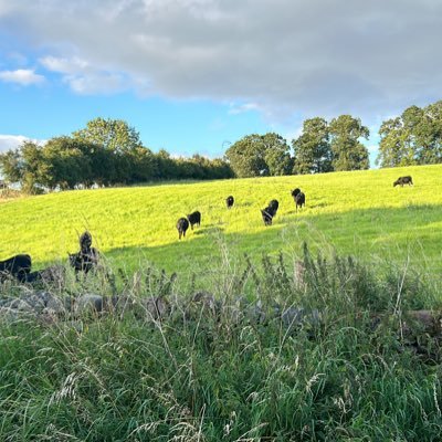 C4Faye's profile picture. Social Affairs Producer for Channel 4 News, ITN