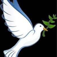 まひろ (@mahiro006173653) 's Twitter Profile