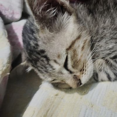 Hariniii02's profile picture. Wasssupp?!