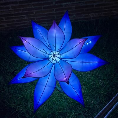 XxChatelaxX's profile picture. De pequeño arreglaba cosas, ahora también .