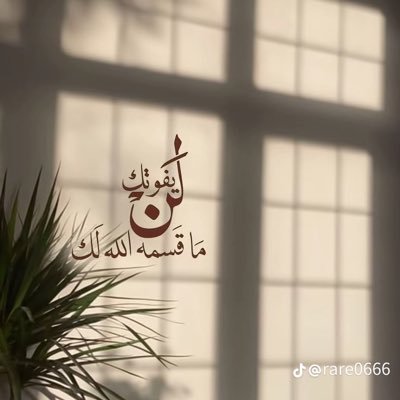 SlmanMesh94984's profile picture. 